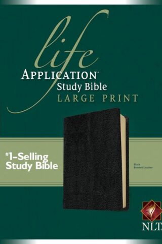 9781414307220 Life Application Study Bible Large Print